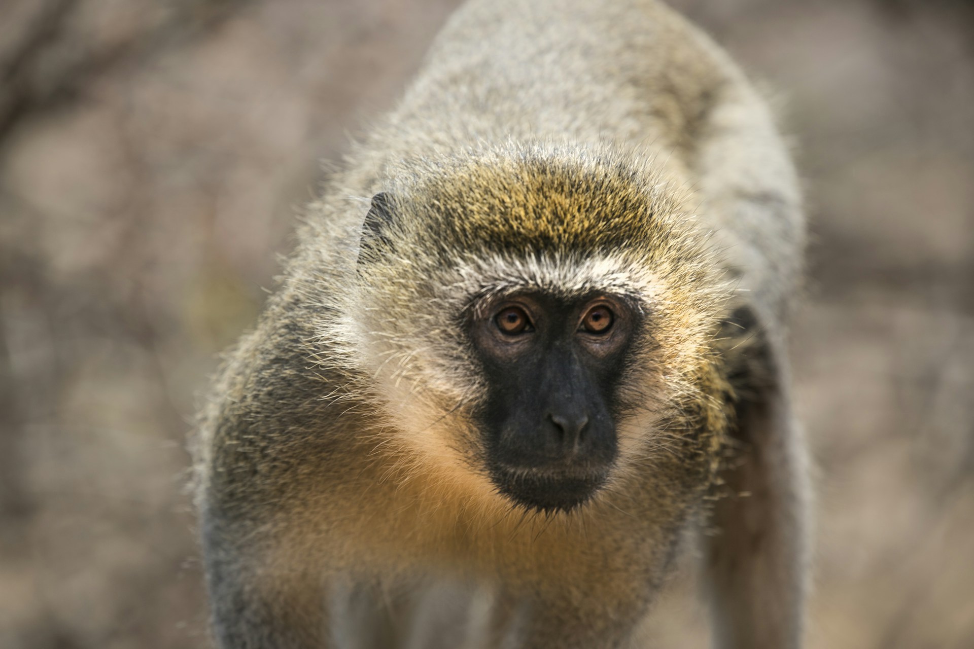 woman wearing yellow long-sleeved dress under white clouds and blue sky during daytime