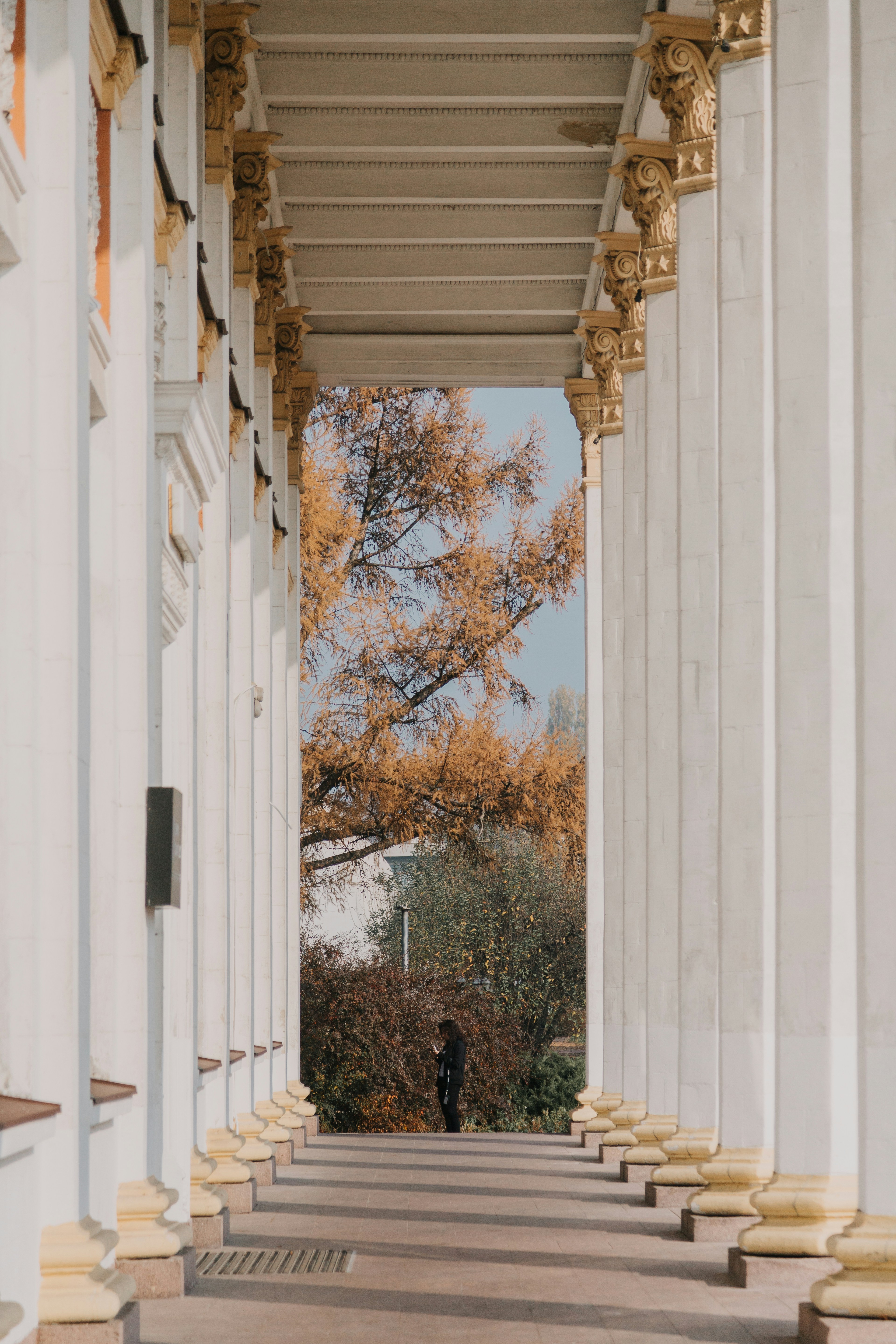 Photo by marjan_blan