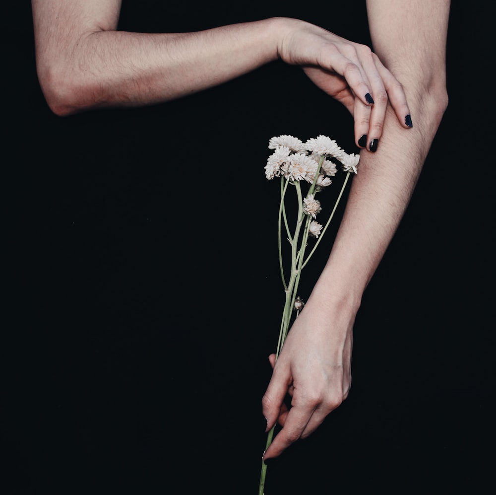 person holding white flowers