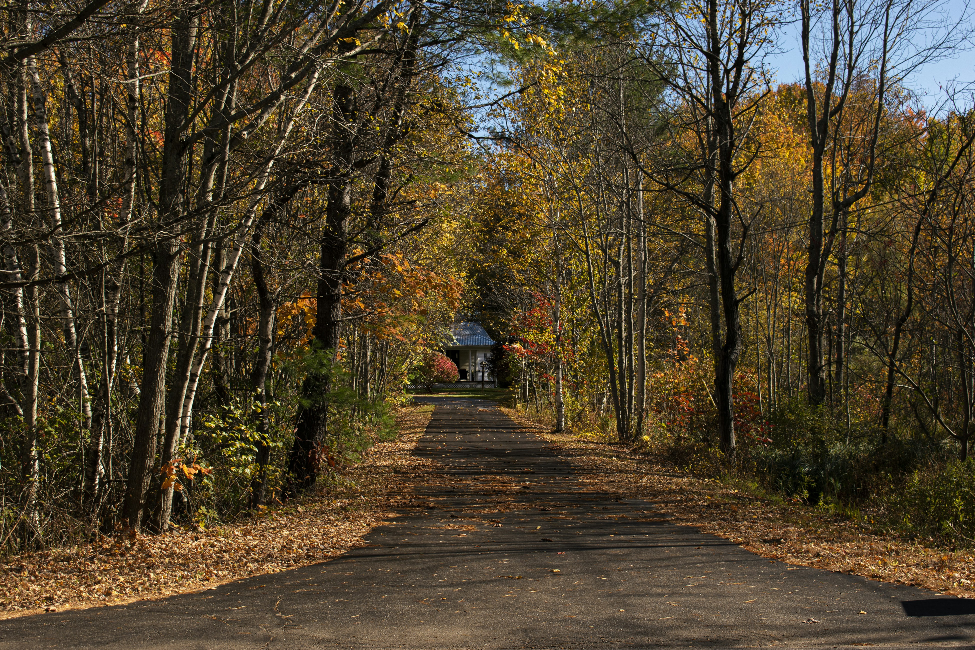 Photo by domenick123