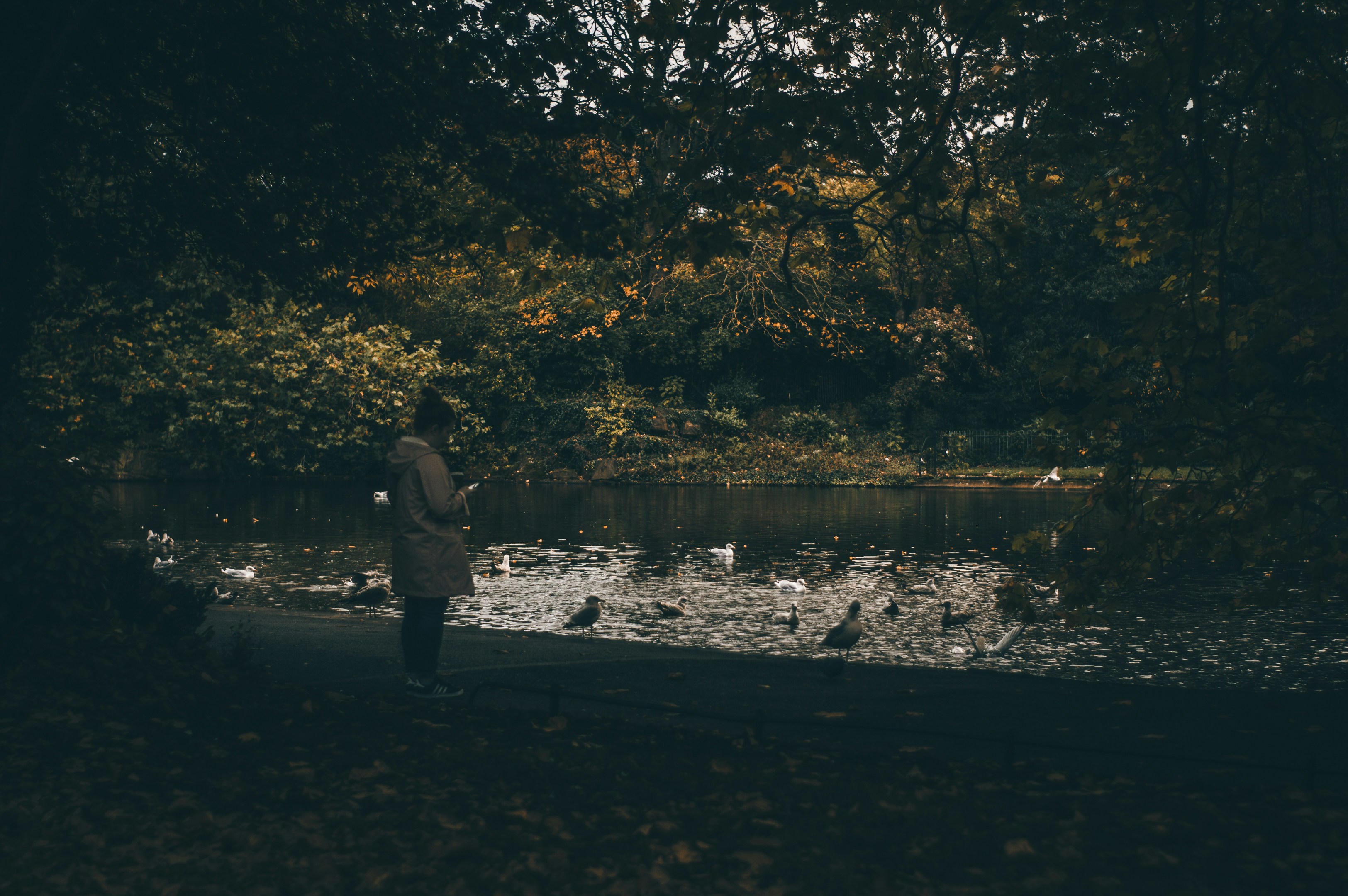 Photo by sergioandreleal