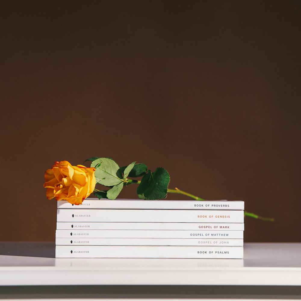 yellow rose on books