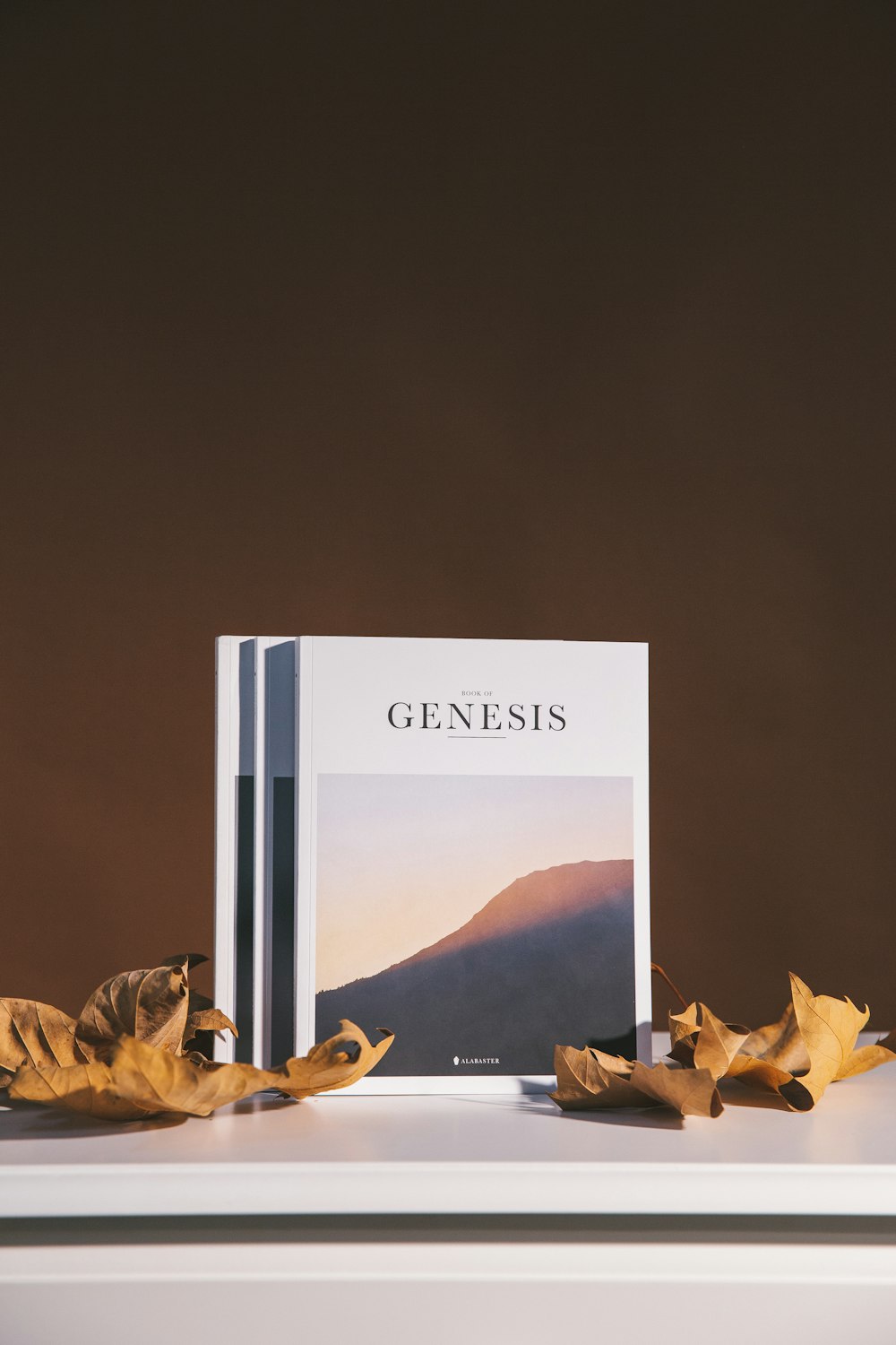 Genesis book on table