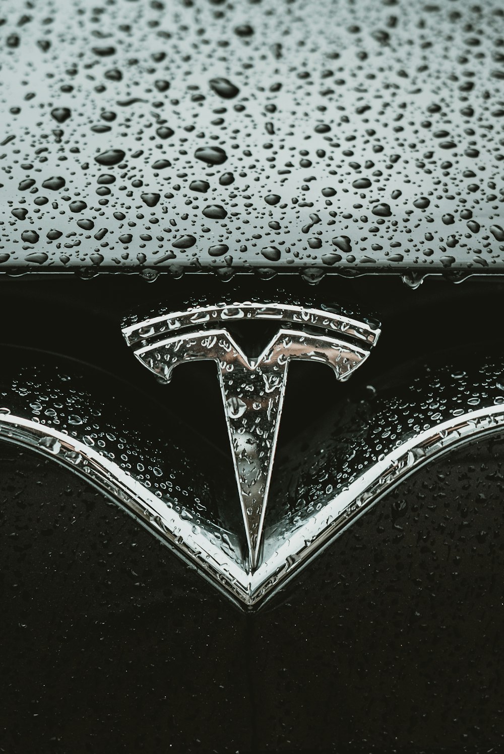 a close up of a car's emblem on a wet surface