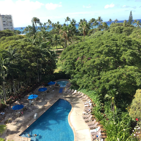 A tranquil outdoor pool surrounded by lush tropical plants and comfortable lounge chairs under a clear blue sky.