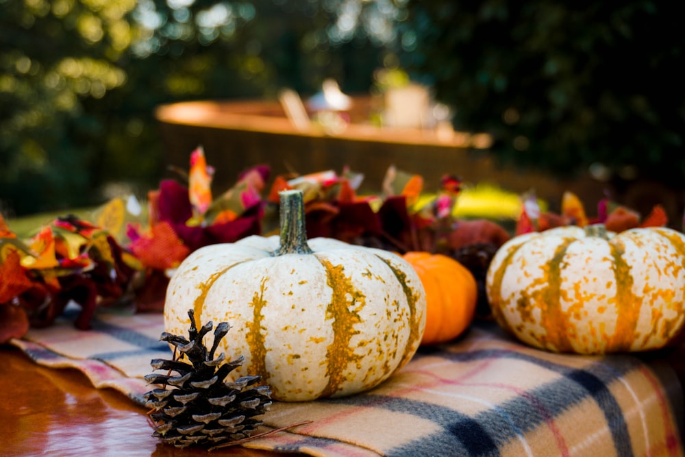 white and orange pumpkins