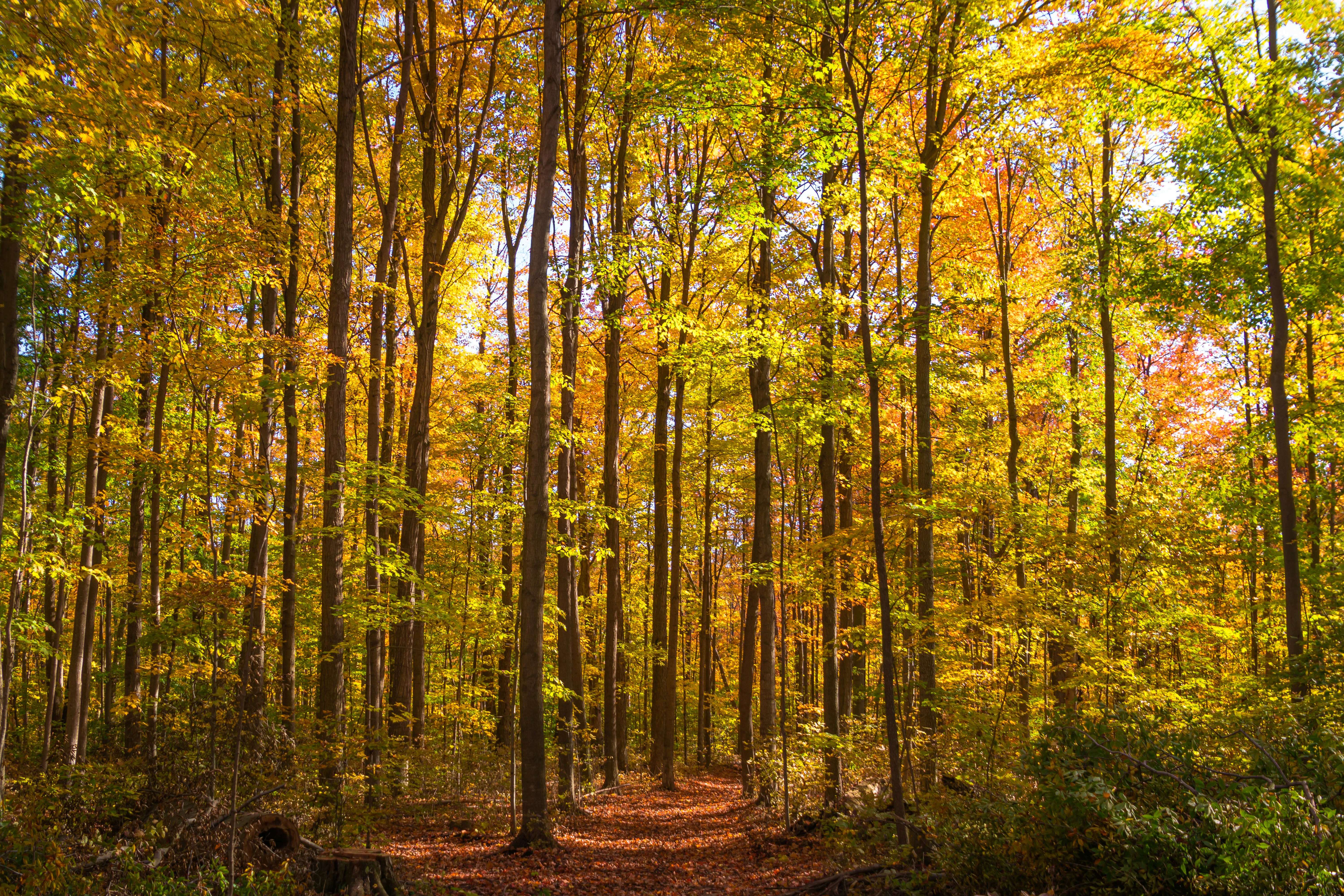 Photo by dhphotography