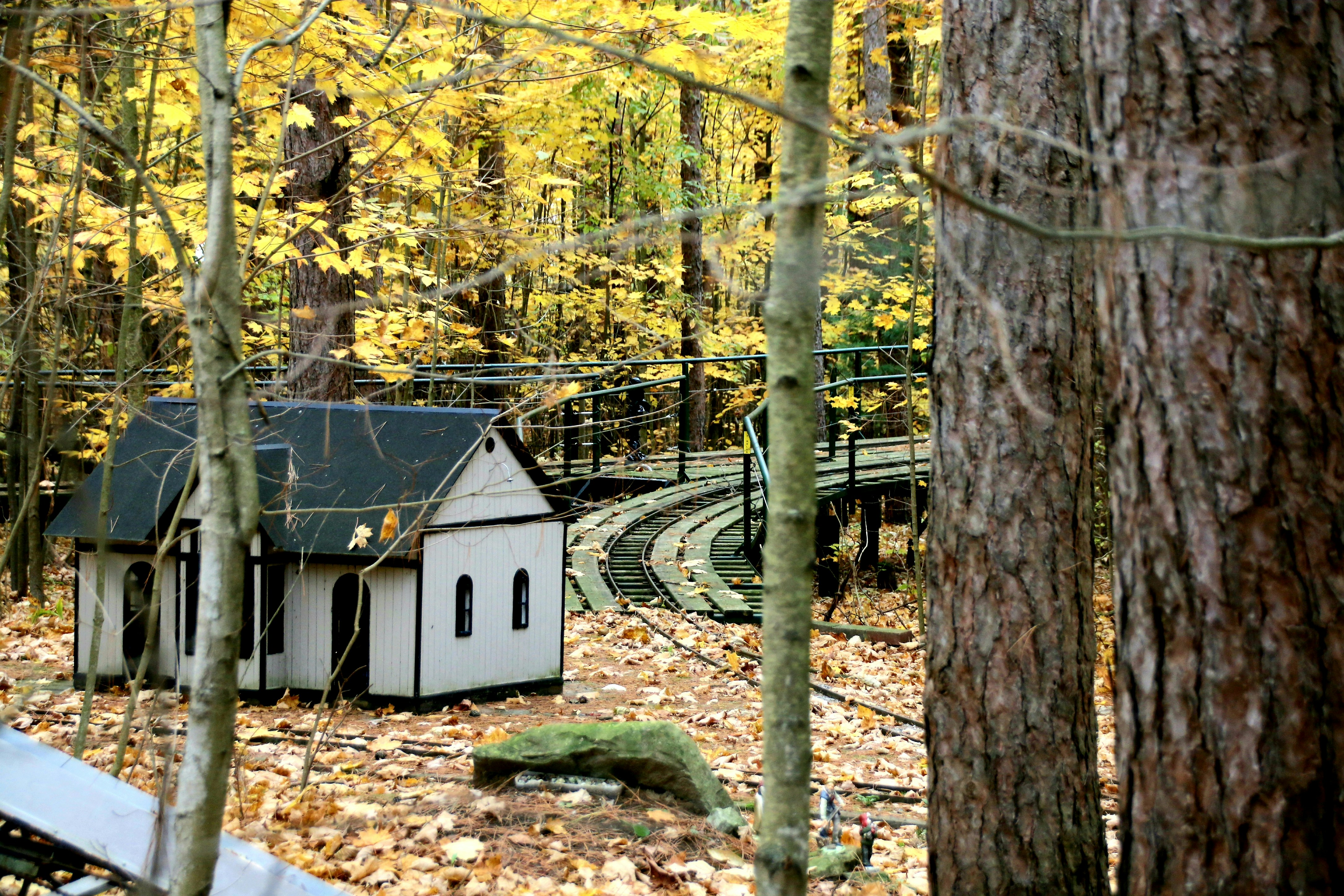 Photo by richardworks