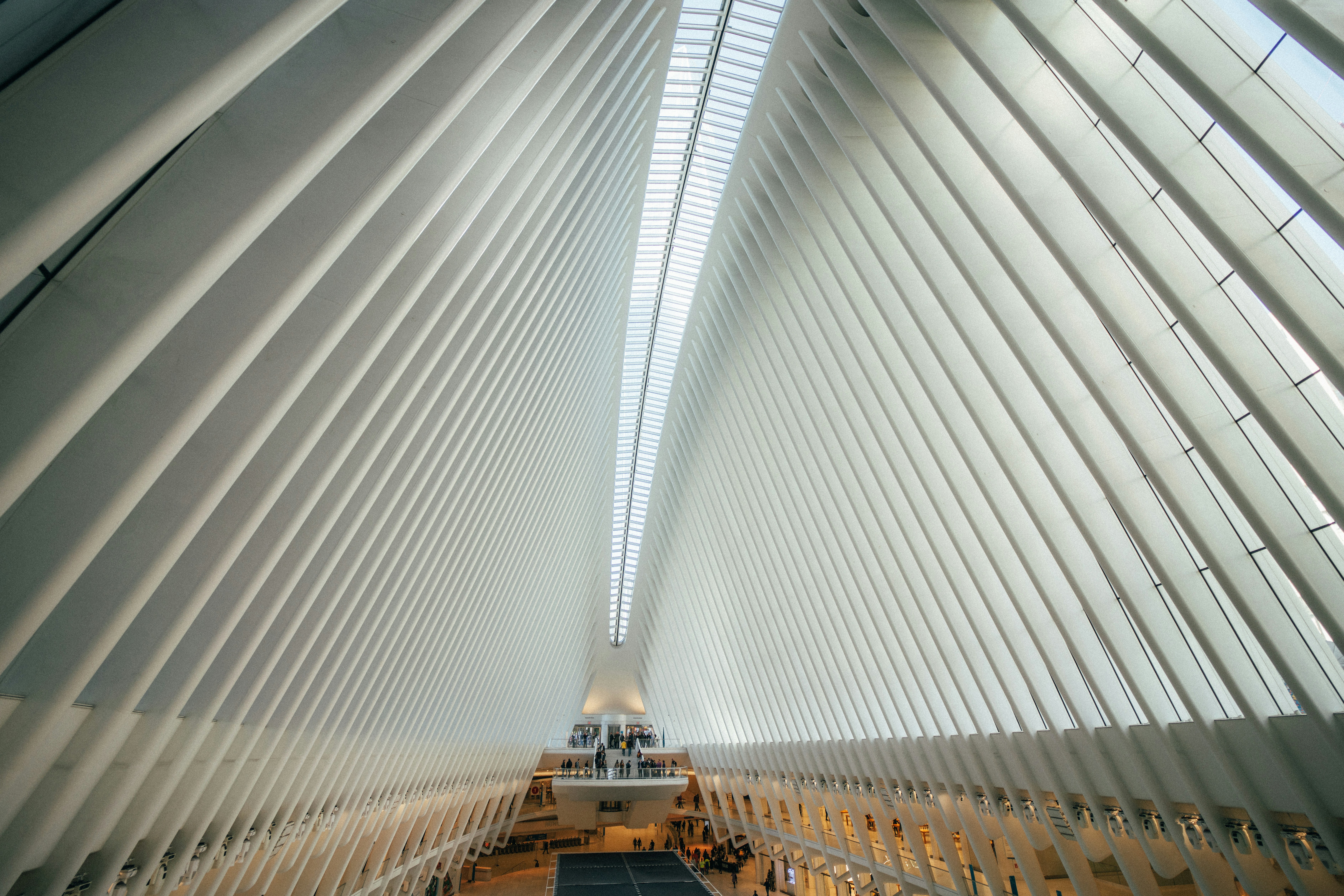 Photo by vincefleming