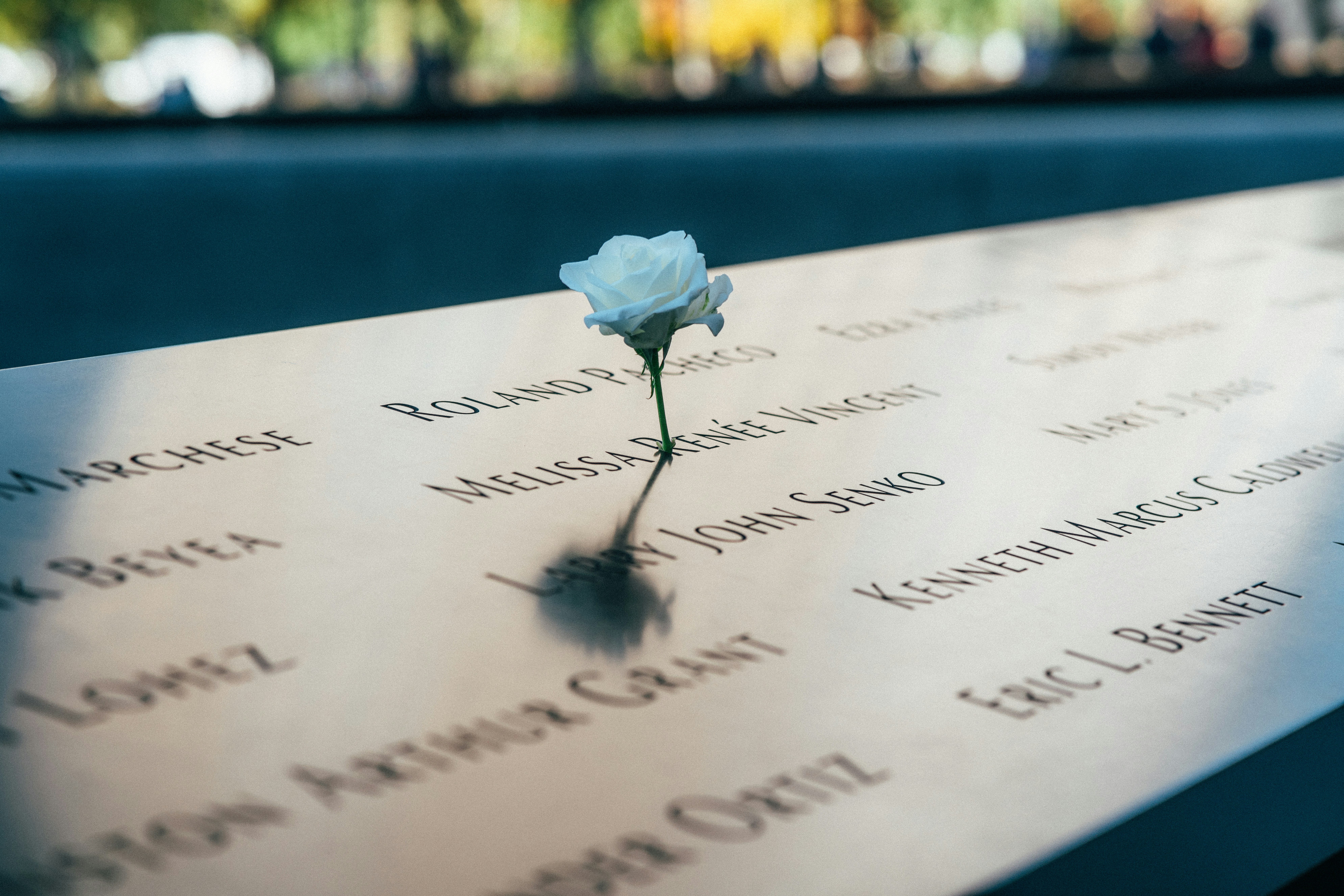 Photo by vincefleming