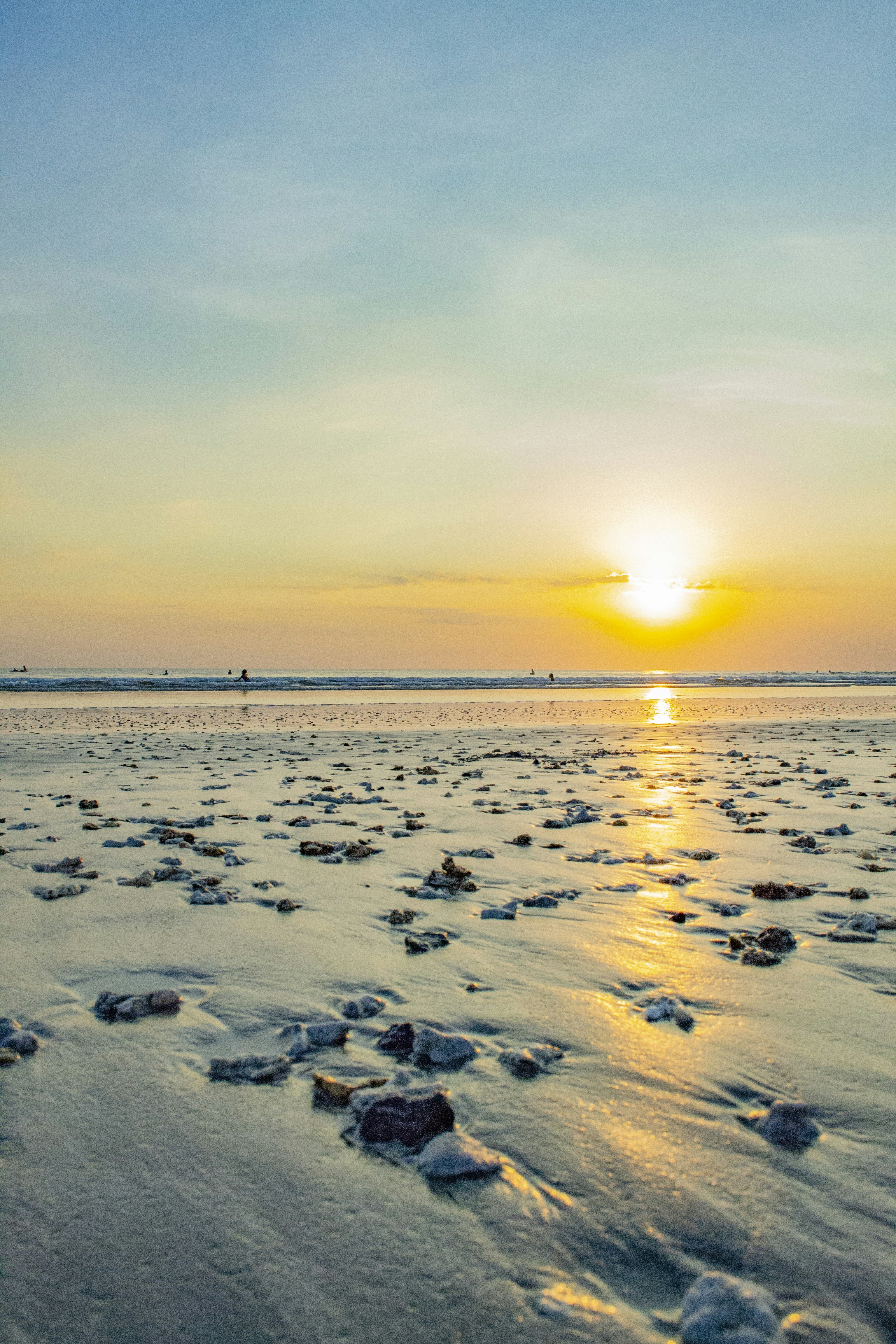 Rayos de sol en el pantano durante el día