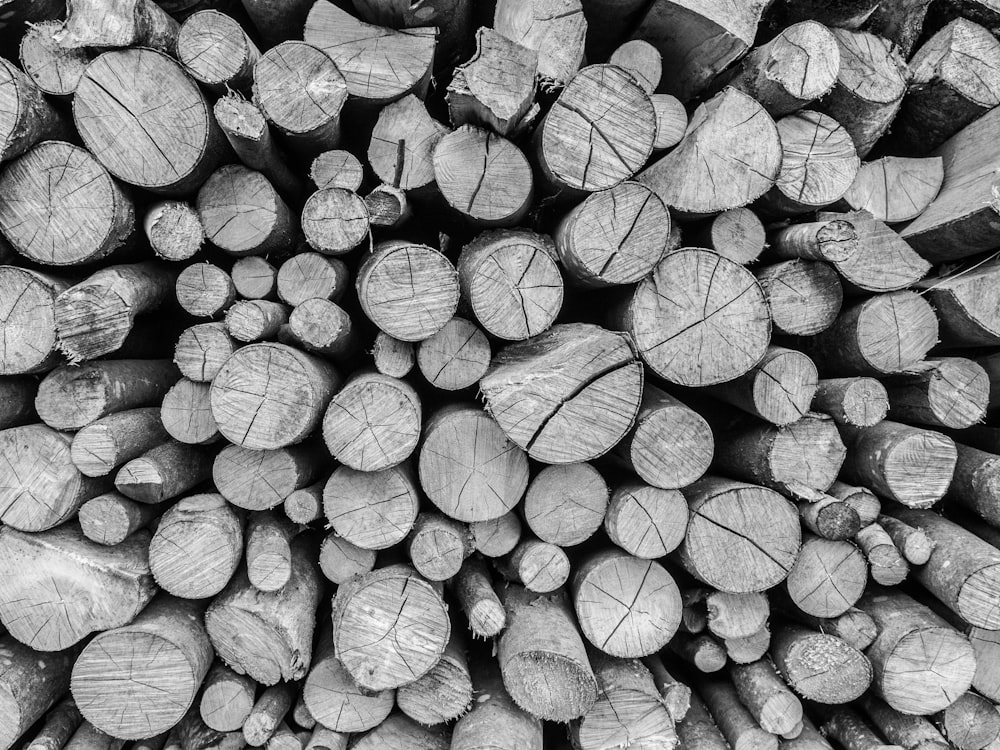 grayscale photography pile of firewood
