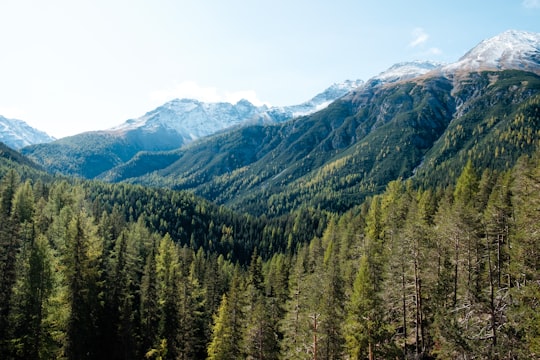 aerial photo of trees on mountain in Swiss National Park Switzerland