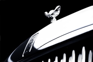 Detail shot of a golden emblem on a deep black luxury coupe, highlighting meticulous detailing work