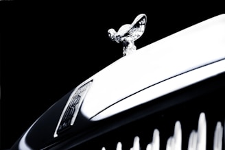 Detail of a luxury car’s emblem shining proudly, symbolizing the promise of excellence.