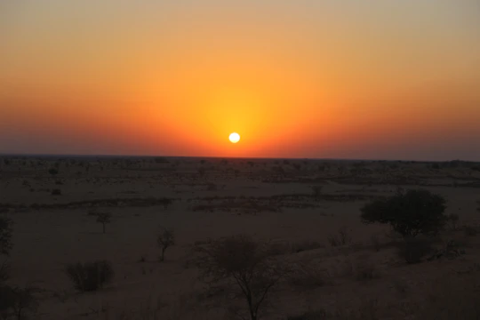 A panoramic view of a fiery orange sunset over a vast outback plain dotted with eucalyptus trees.