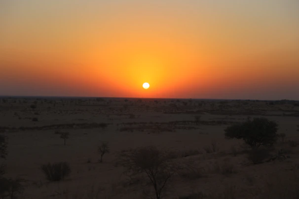 A fiery orange and pink sunset casting long shadows over a rugged outback landscape