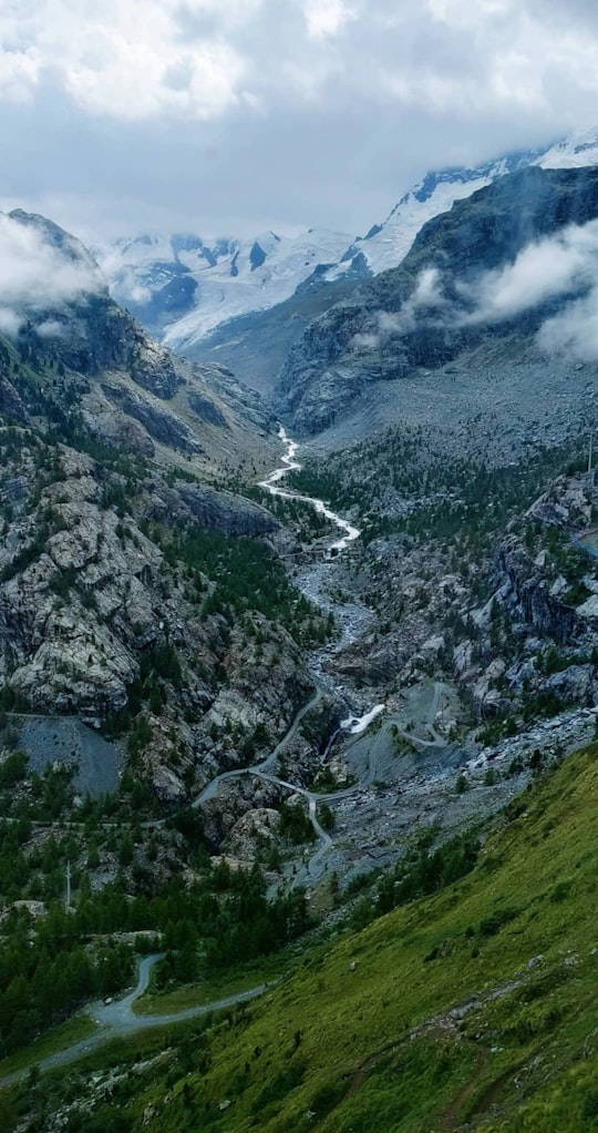 trees on hills in Matterhorn Glacier Switzerland