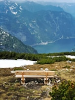 A rustic wooden bench overlooking a panoramic view of rocky cliffs and dense woodland.