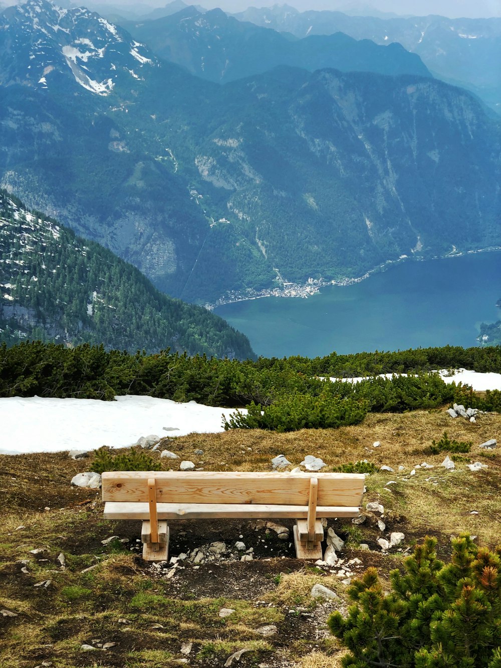 brown wooden bench on landscape field