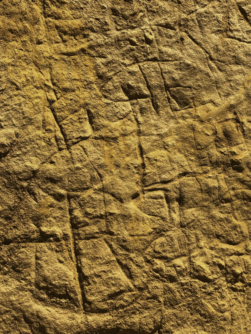 a close up of a rock with a pattern on it