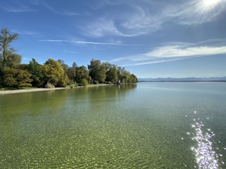 A serene view of Lake Martin's shoreline with clear waters.