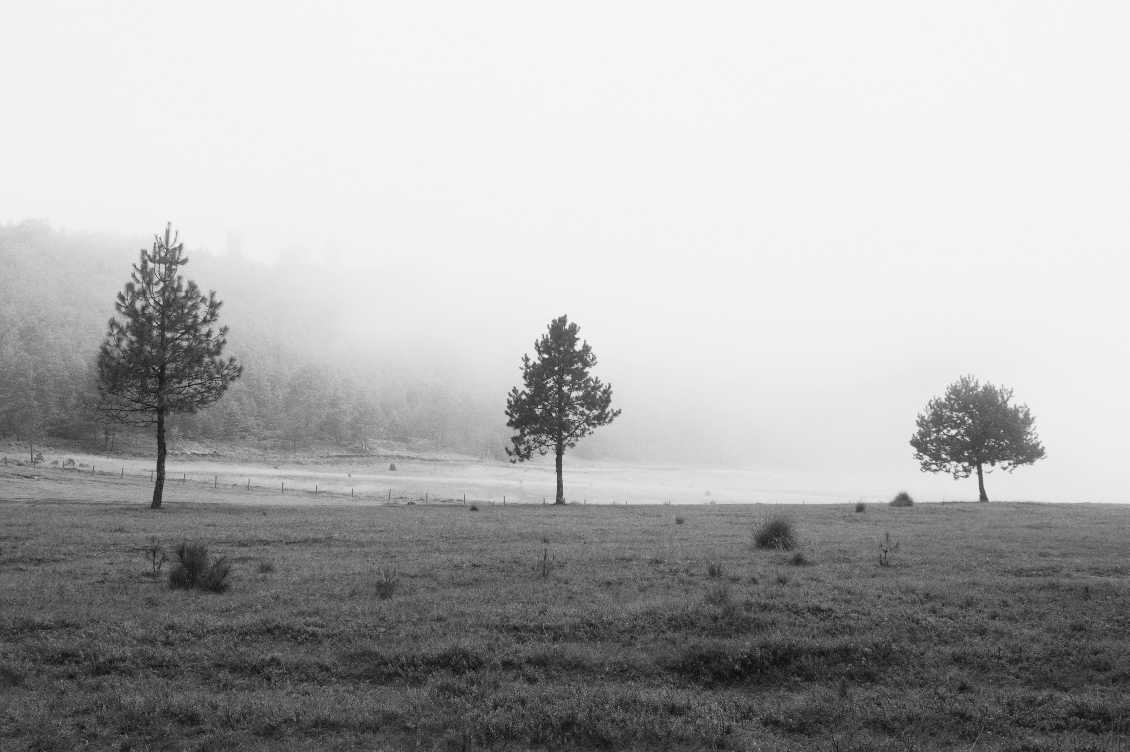 Photo by pekeshorked