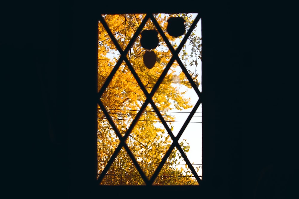 yellow leaf trees view from window