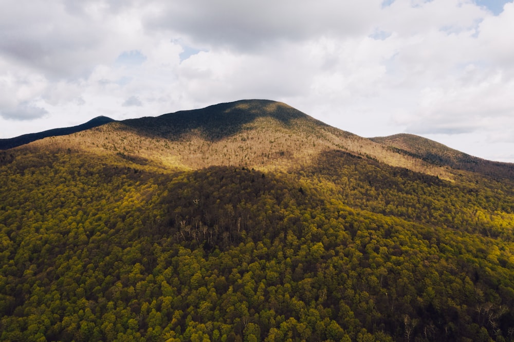 mountain with trees under cloudy sky