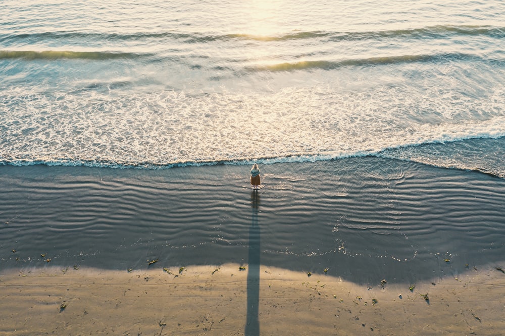 aerial photography of person near seashore during daytime