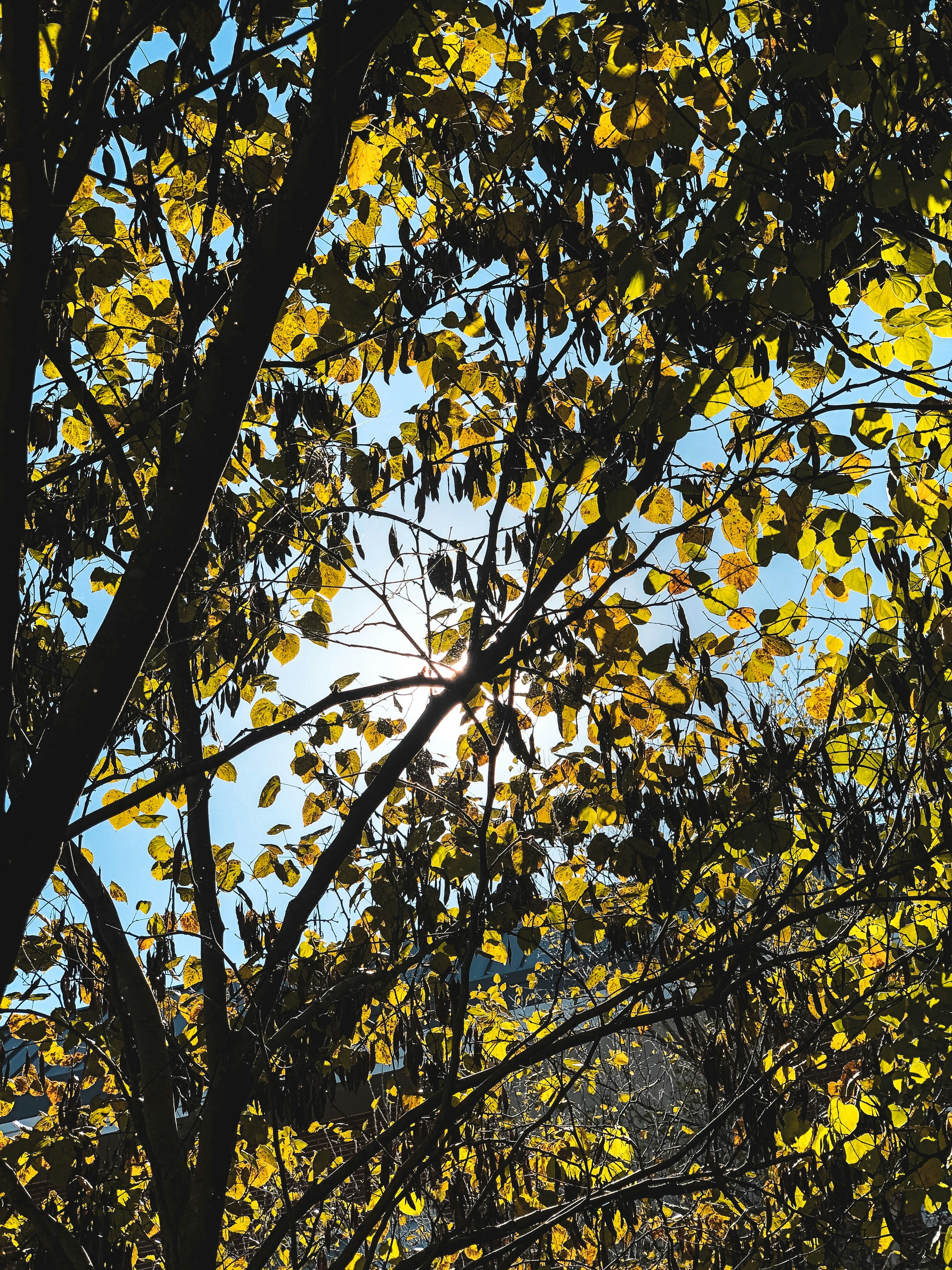 Photo by les_elizabethj