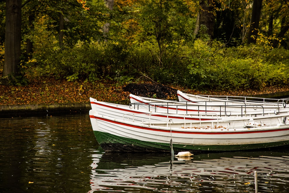 three white and red boats in water beside green plants