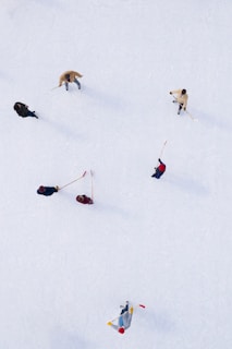 An aerial view of several people on an ice rink. They are playing with sticks, likely engaged in a friendly ice hockey game. The ice is smooth and white, providing a contrasting background to the colorful clothing and equipment.