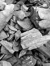 A collection of rough, jagged charcoal pieces of various sizes and shapes, creating a textured and irregular surface.