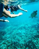 a group of people swimming in the ocean with a turtle
