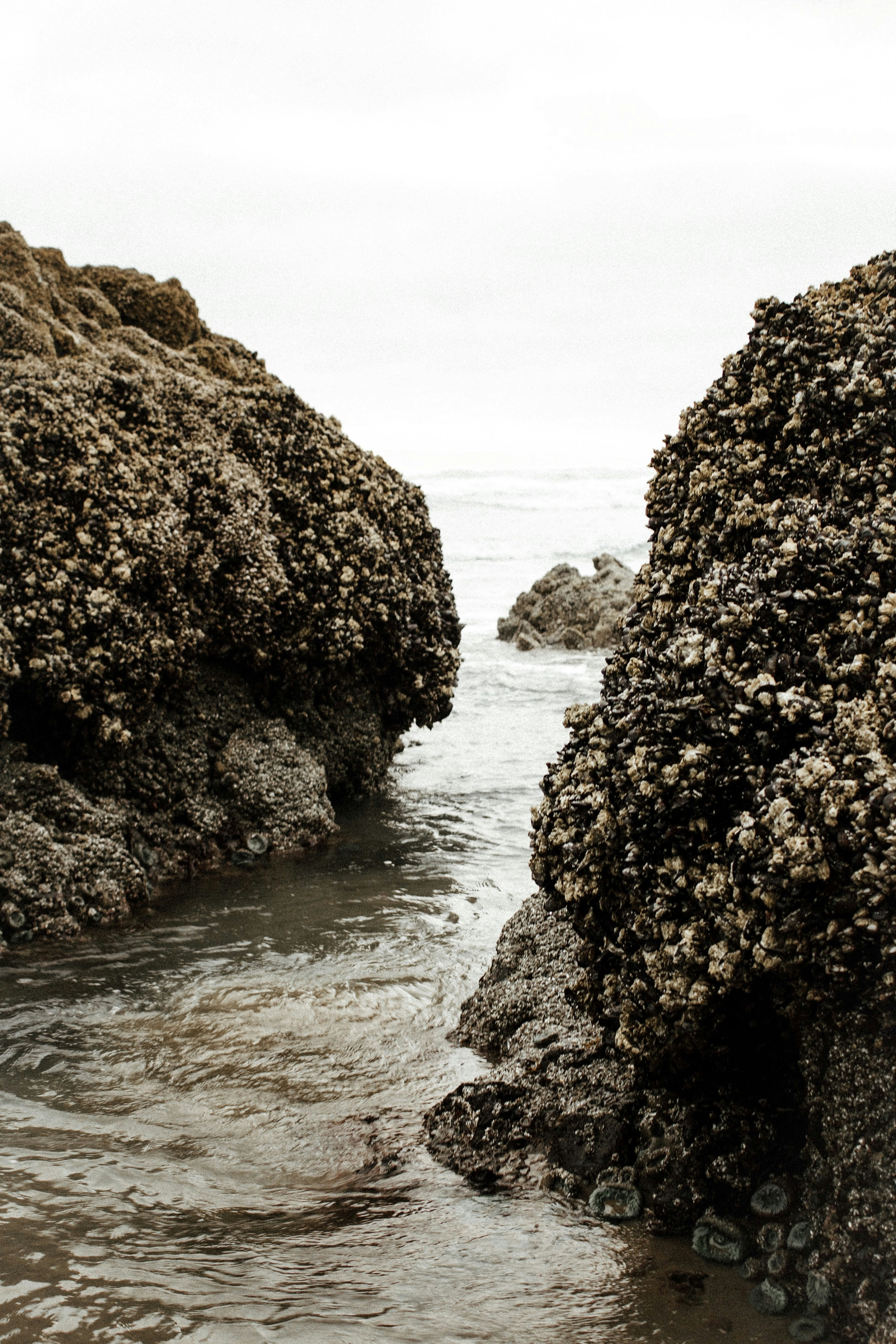 ocean surrounded with rocks