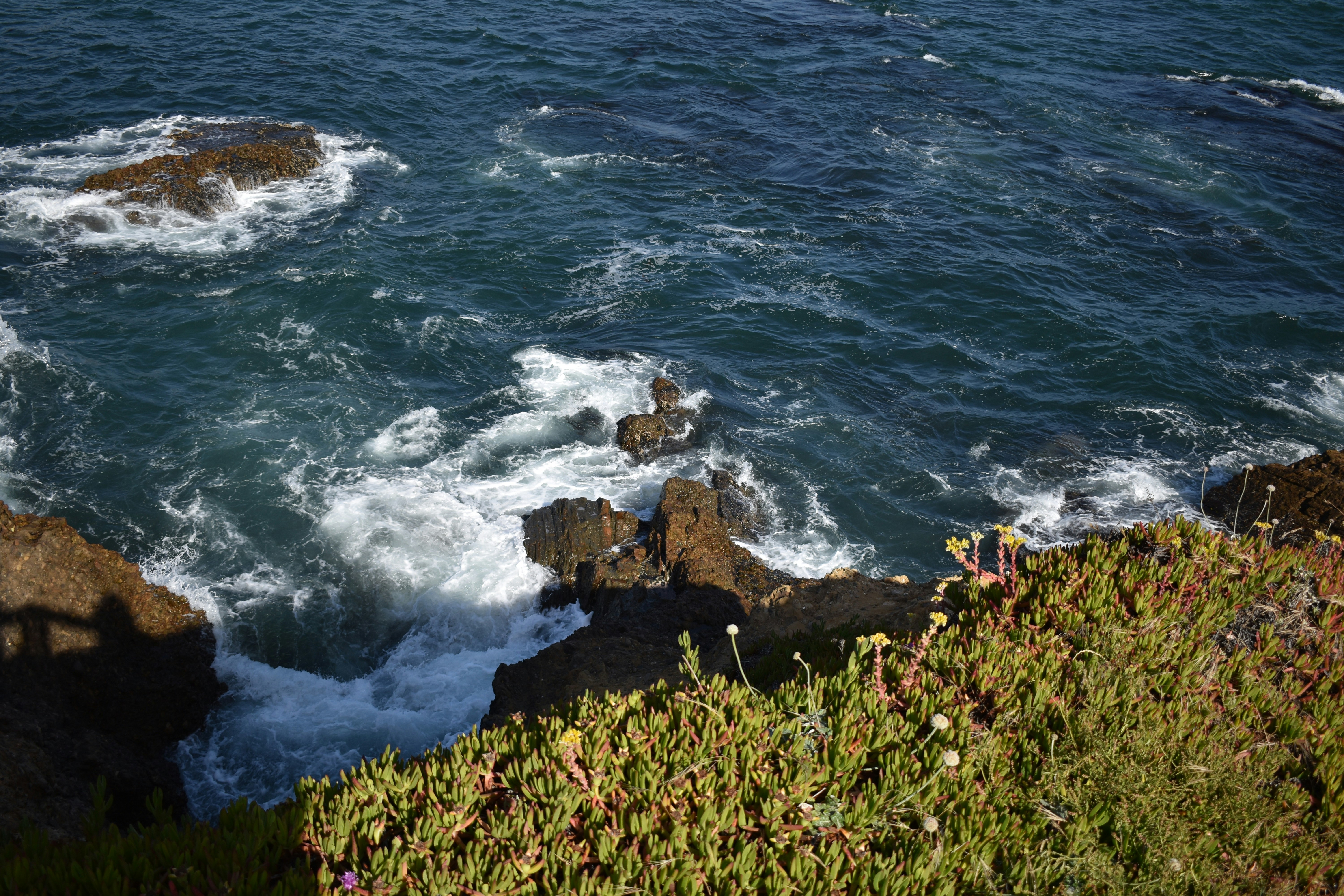 Photo by abigailvall