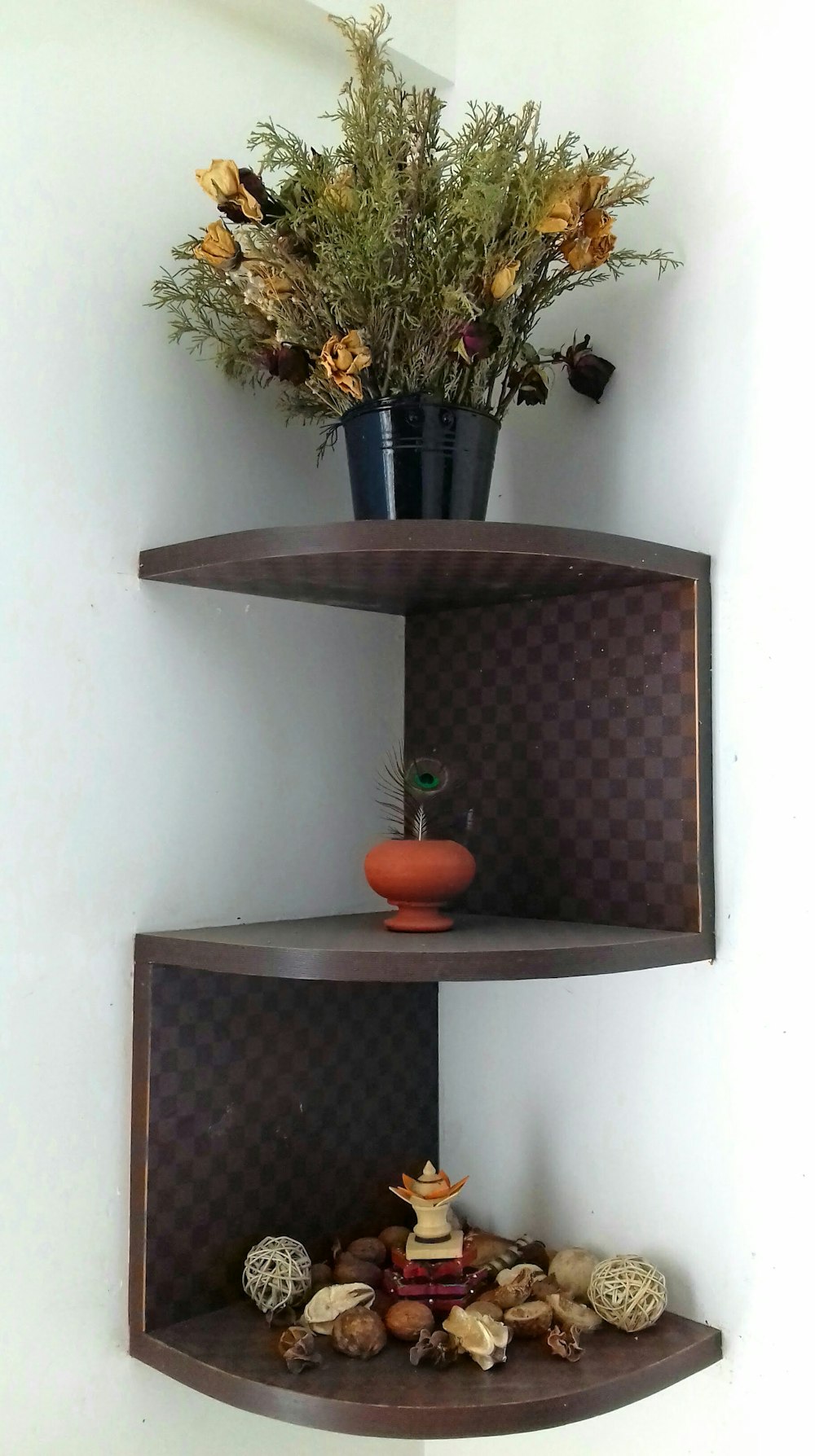 brown wooden shelf and green-leafed plant