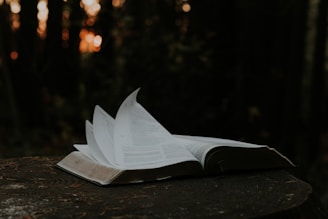 open book photograph