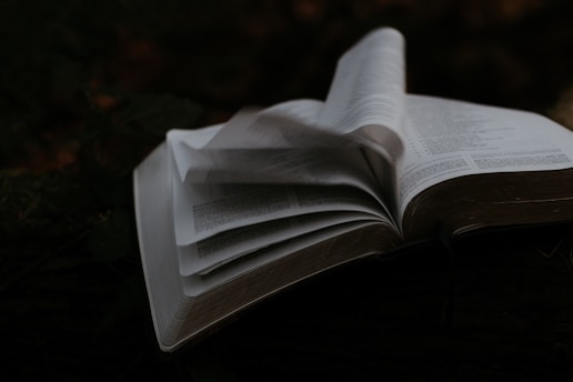 An open book with pages slightly in motion, creating a sense of dynamic movement. The scene is set in low light, contributing to a mysterious and contemplative atmosphere.