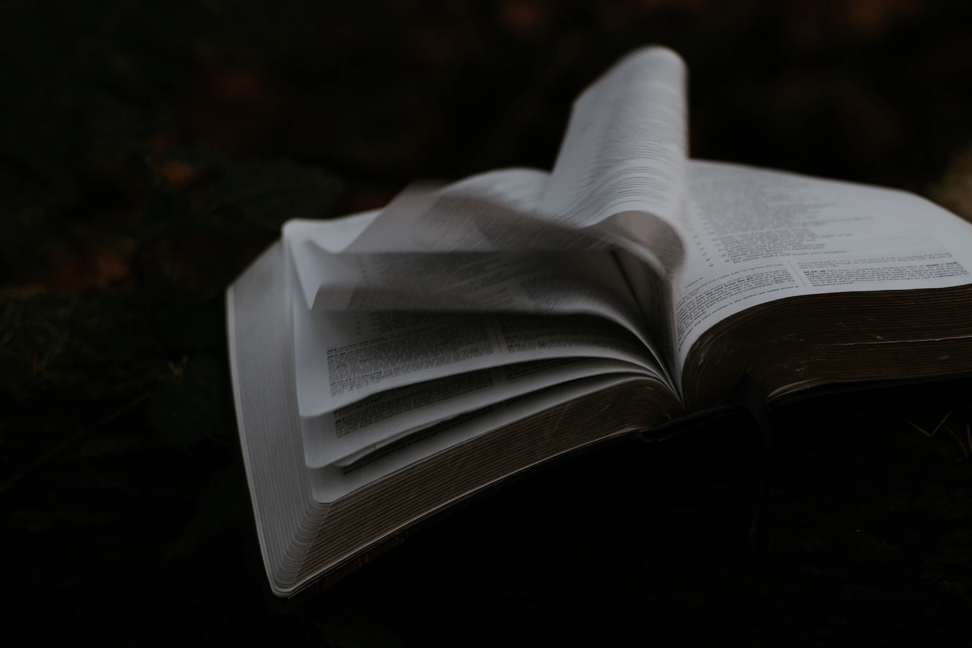 A dynamic screenshot of the ebook’s transition effects between pages, highlighting smooth fades and gentle movements with a calming color palette.