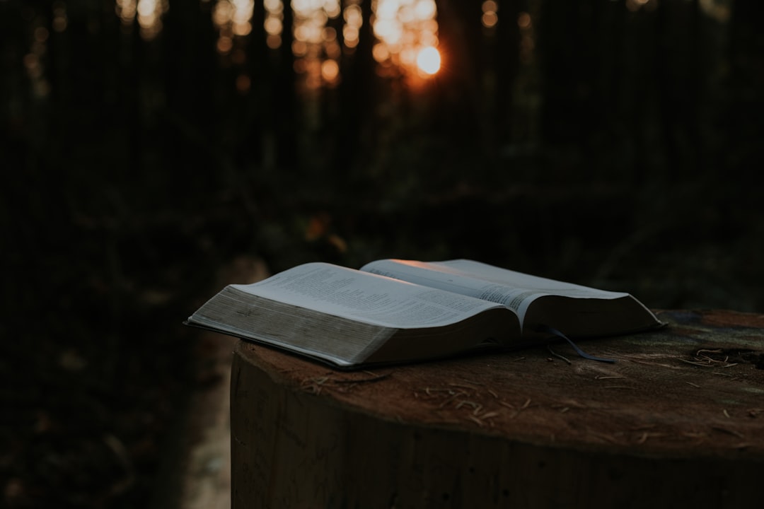 The Bible, which is what The Chosen is based on, resting on a log