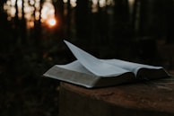 A serene outdoor setting with sunlight filtering through trees onto an open book of tribal dialects.