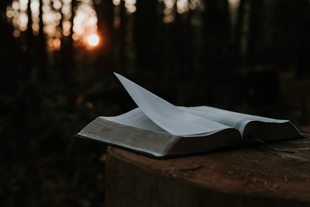 opened book on table