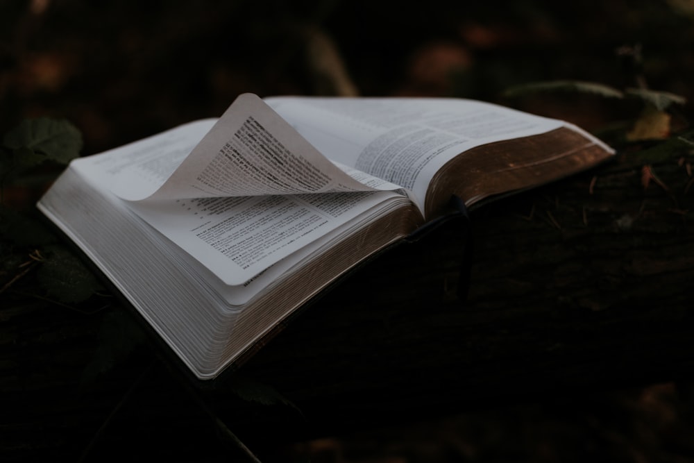 Geöffnetes weißes Buch