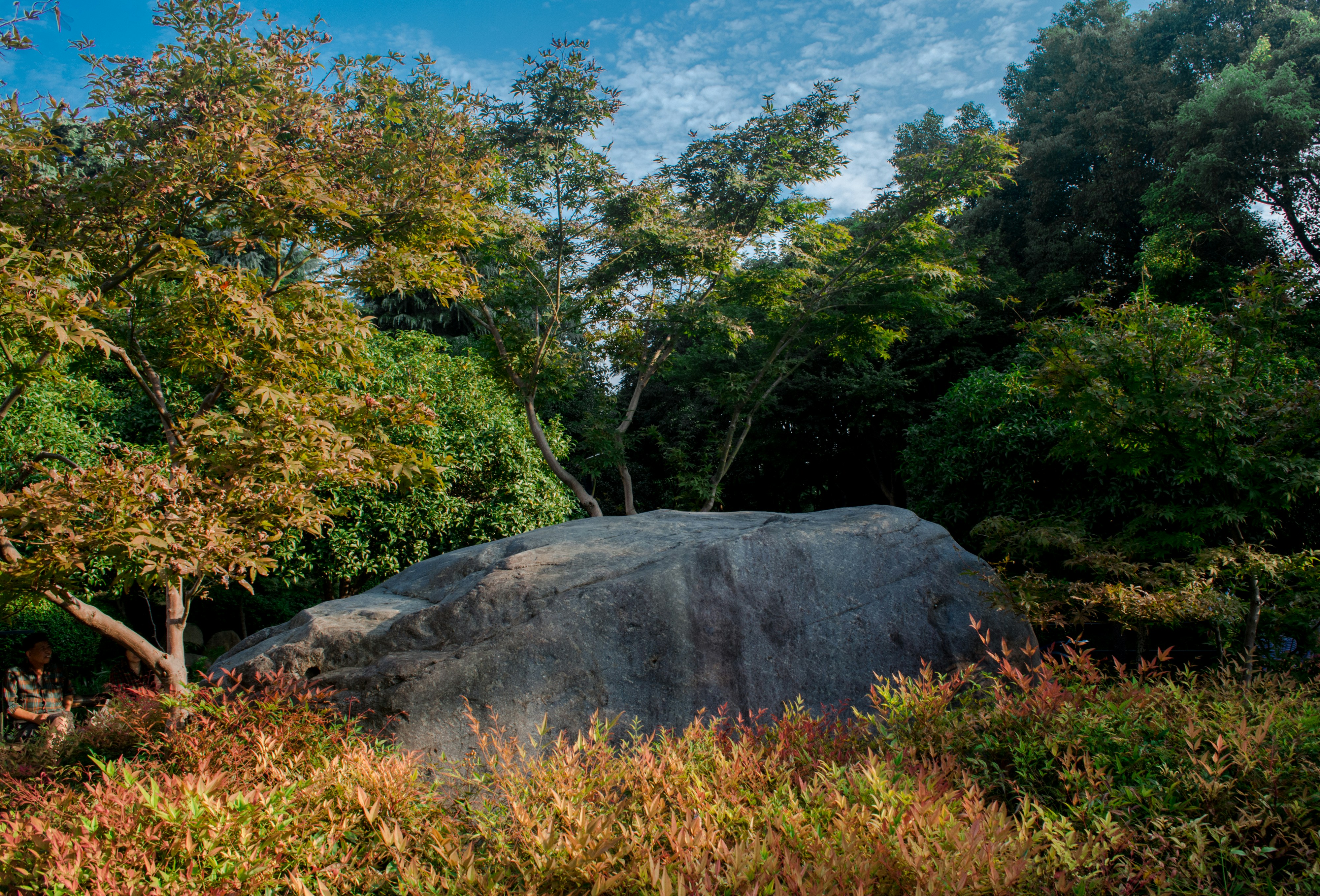 Ode till stenarna i skogen