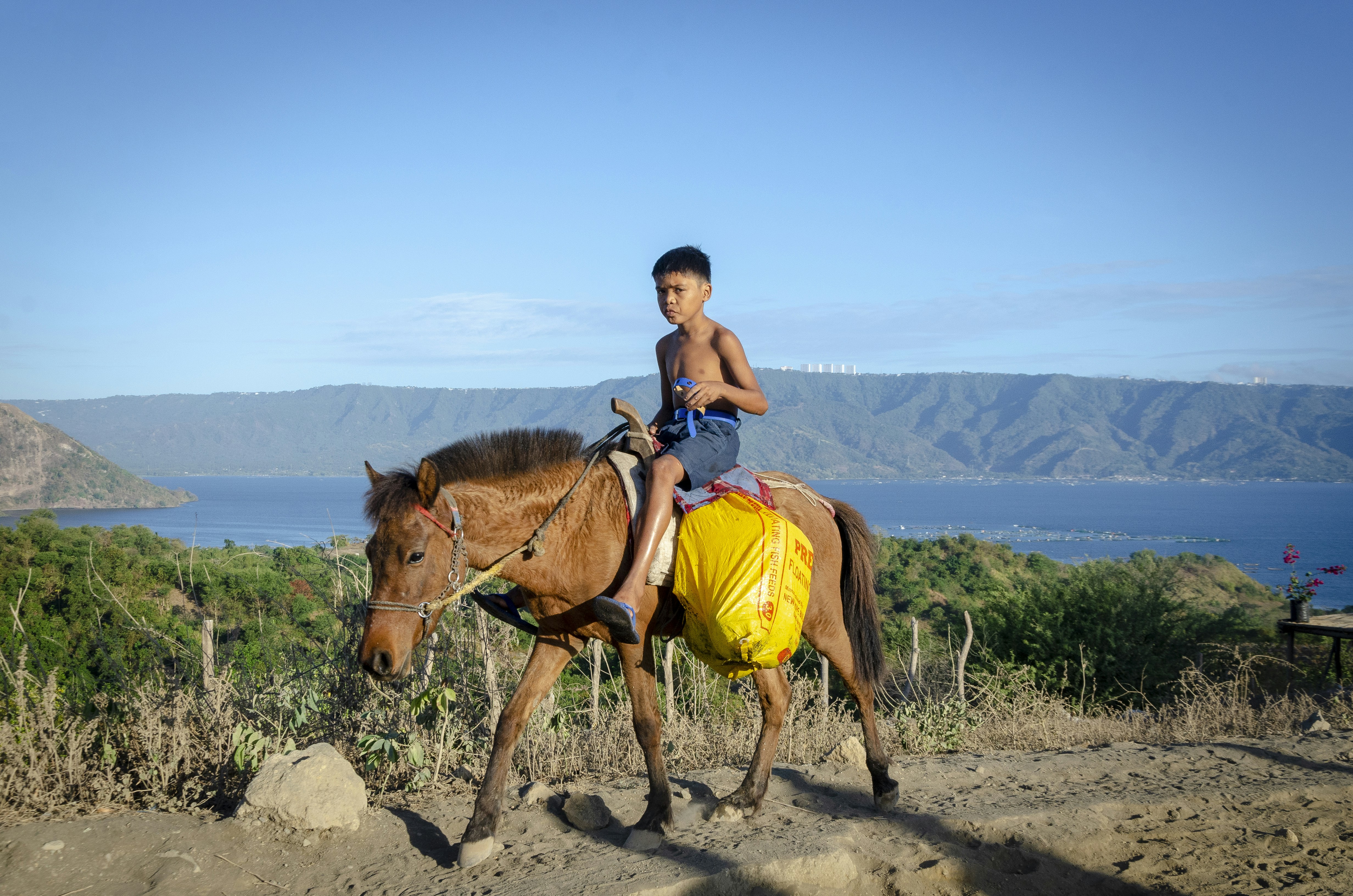 Niño montando caballo marrón foto – Imagen de Animal gratuita en Unsplash, image size:3000x1987