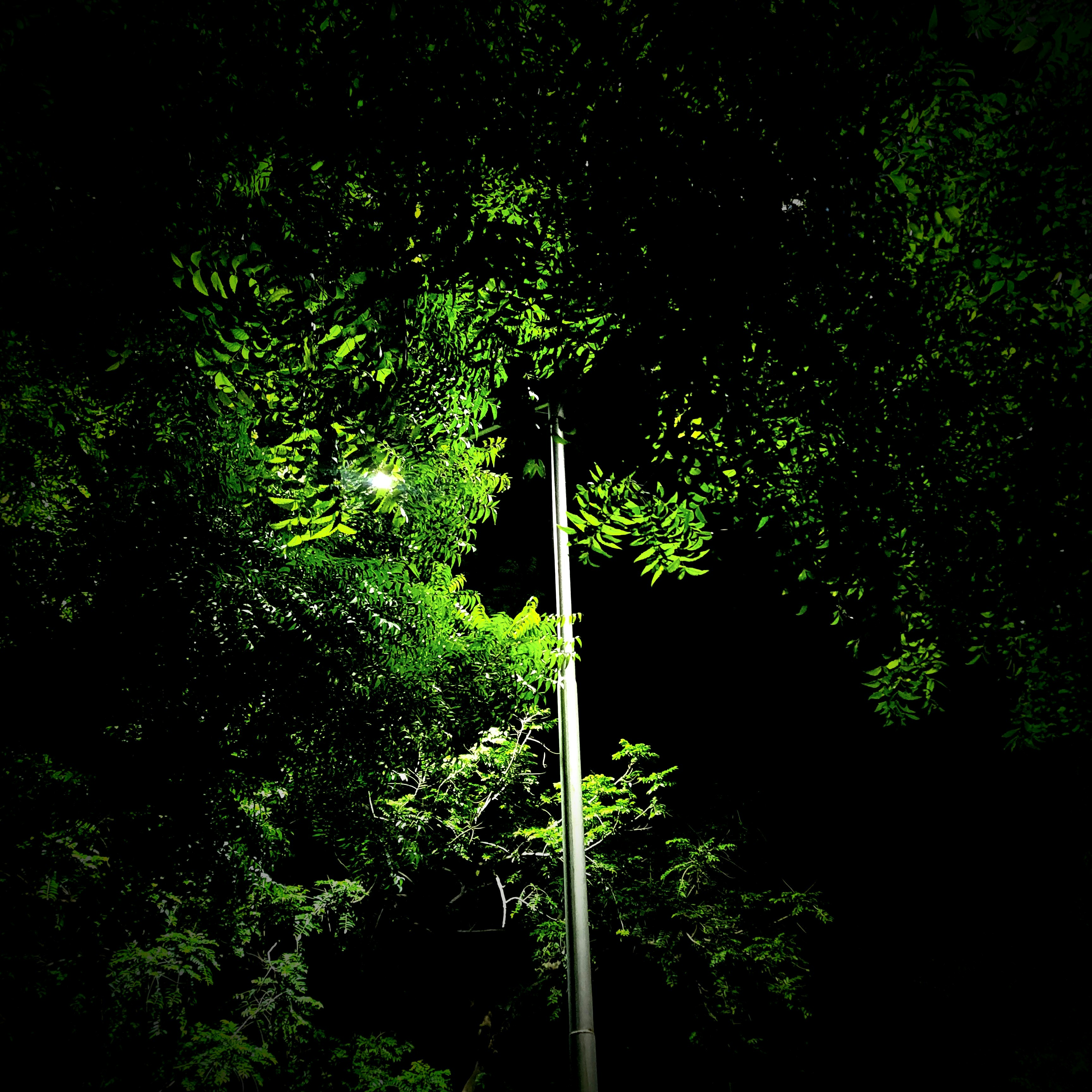 Photo by syedmdismailquli