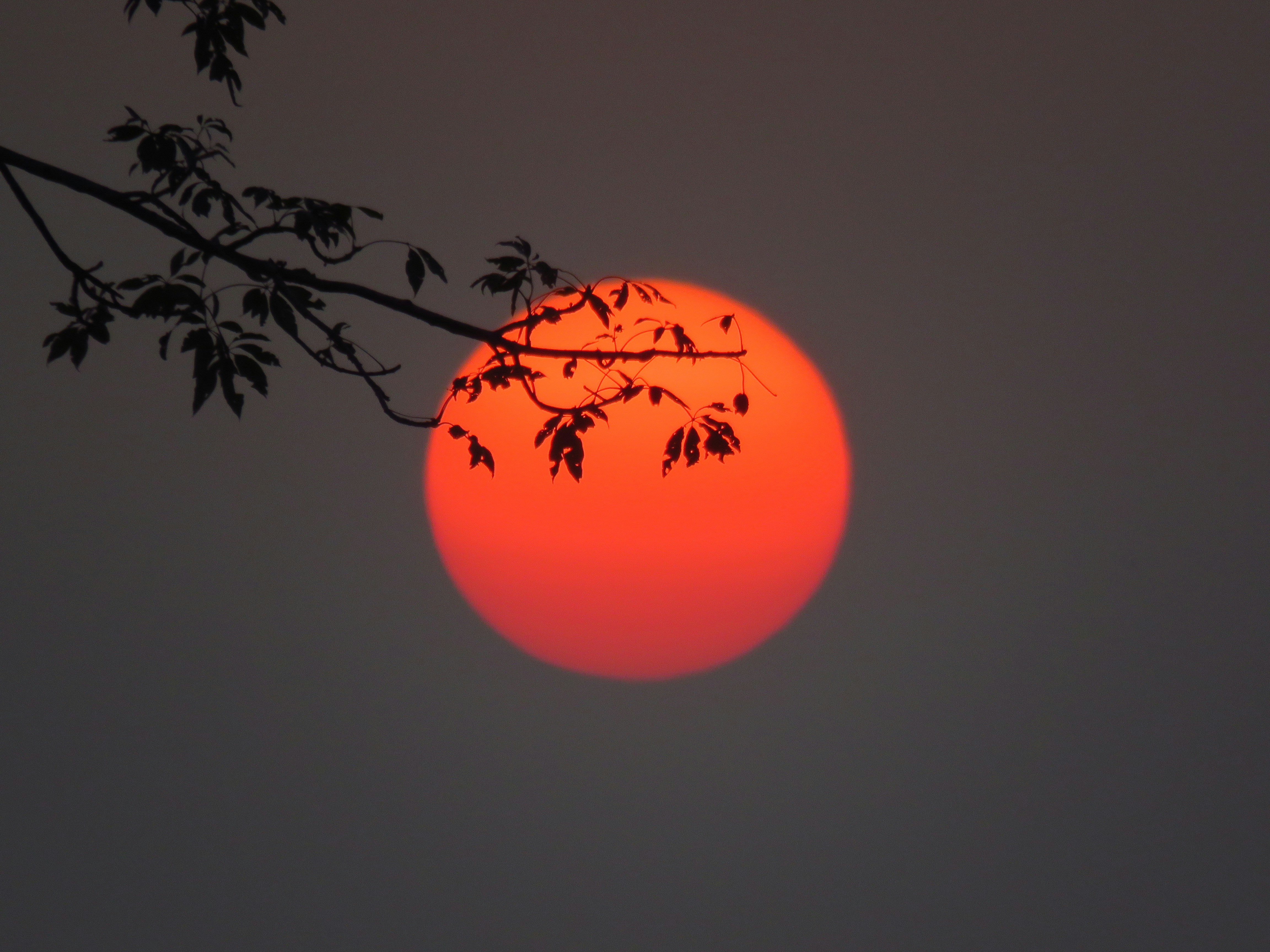 Sunset at the National Park