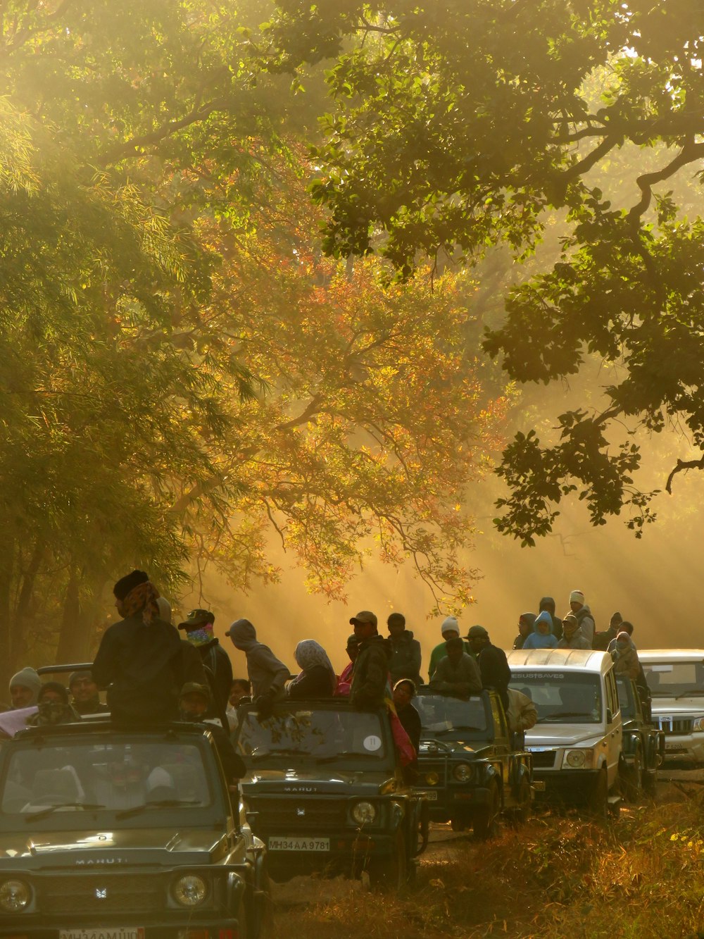 people on cars beside trees